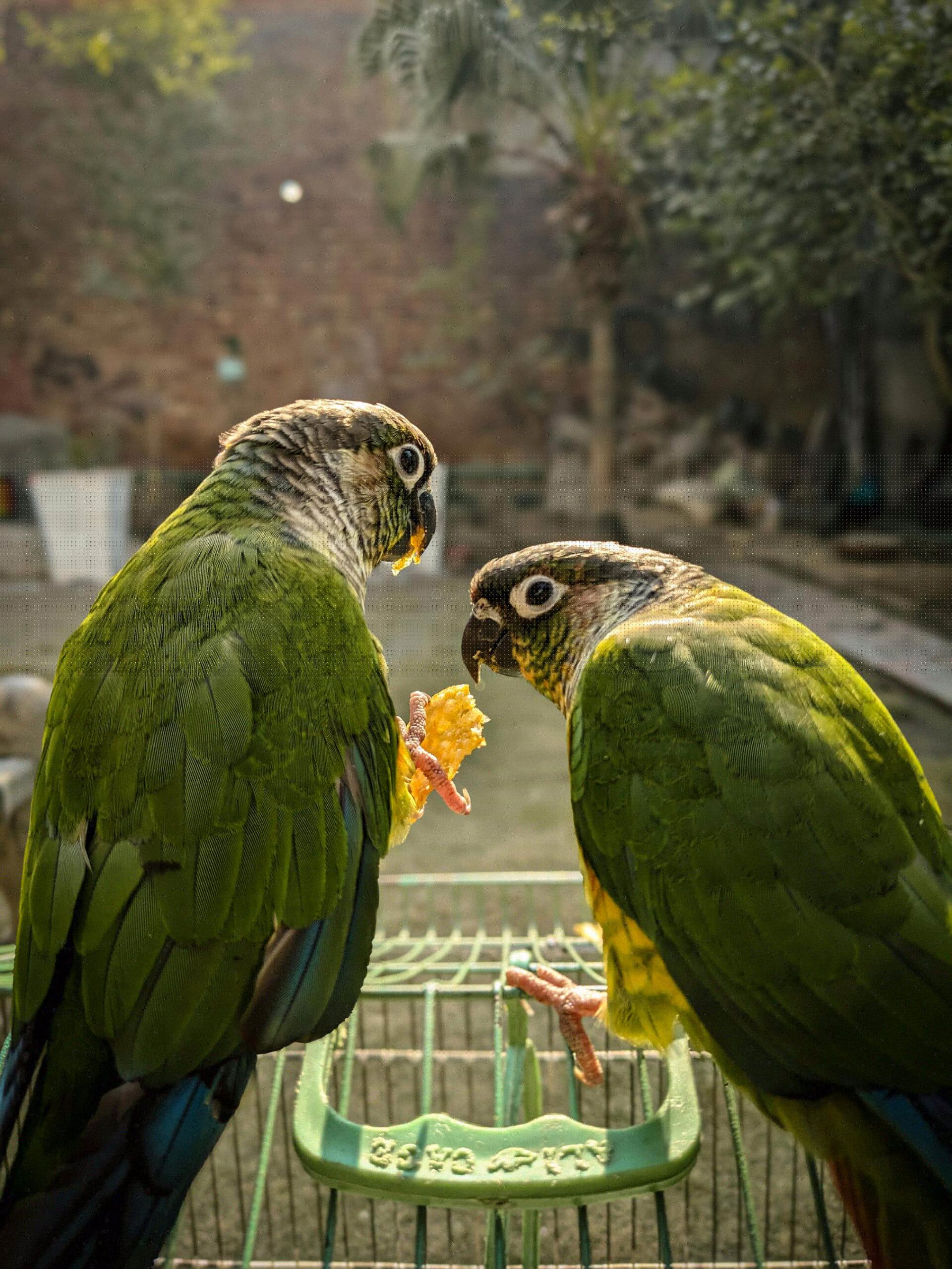 Amazon.com Amazon.com