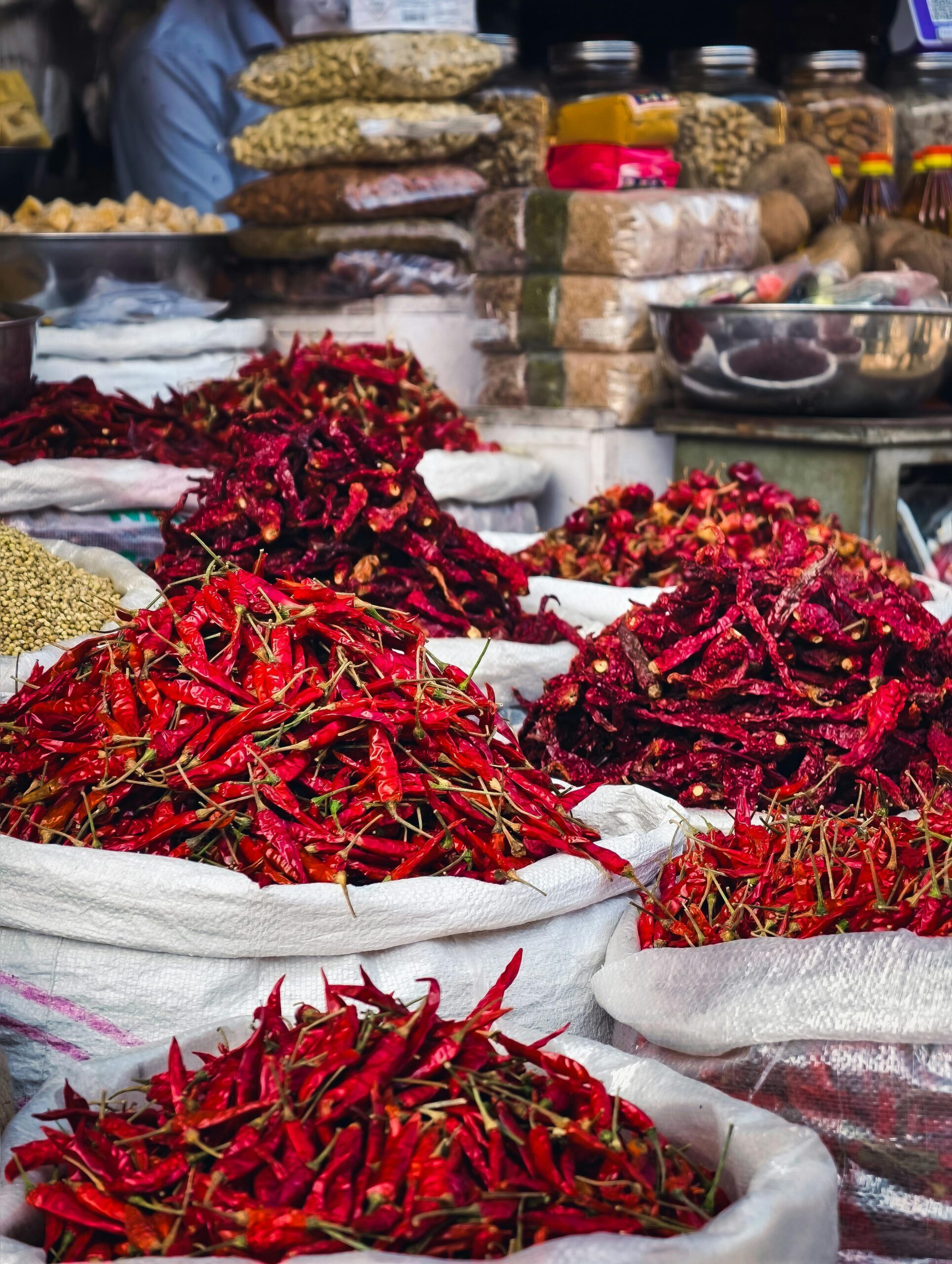 QPAU Inflatable Punching Bag, 48 Inch Stable Inflatable Boxing Bag for 3-6 Kids,Dinosaur Toy Gifts for Boys and Girls, Kids Boxing Set for Practicing Karate, Taekwondo QPAU Inflatable Punching Bag, 48 Inch Stable Inflatable Boxing Bag for 3-6 Kids,Dinosaur Toy Gifts for Boys and Girls, Kids Boxing Set for Practicing Karate, Taekwondo