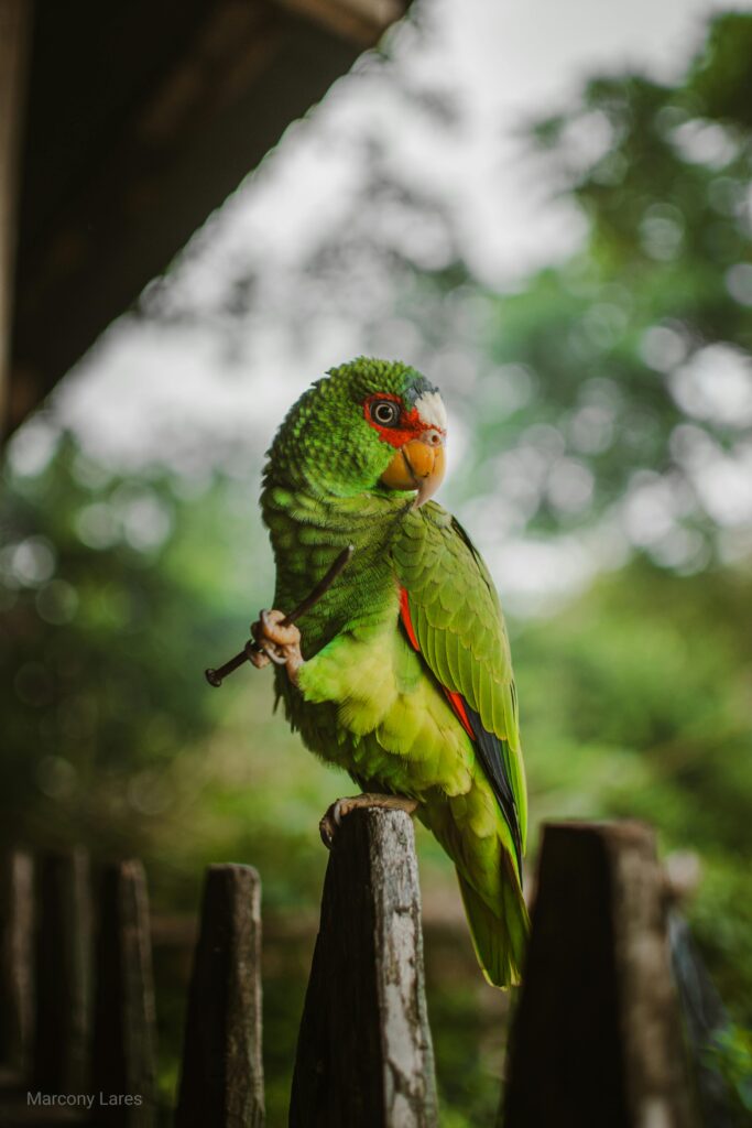 Amazon.com Amazon.com