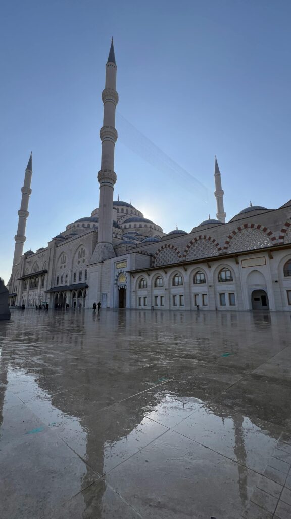 Christian Planner Daily Prayer Journal - Faith Based, 6 Month Undated Gratitude Journal with Scriptures and Encouragement - Christian Notebook for Prayer and Bible Journaling (Dolphin Grey)