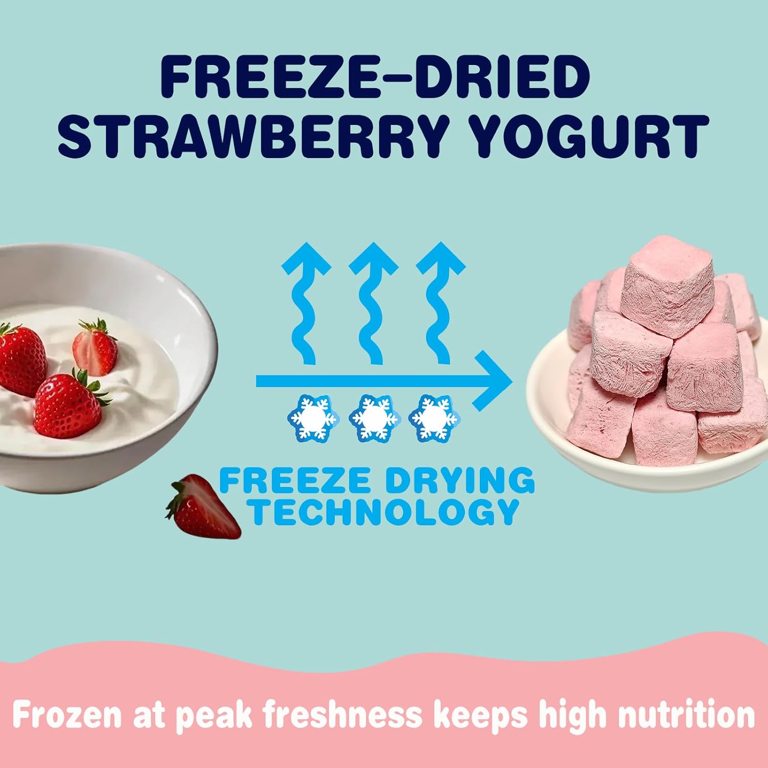 Freeze-Dried Yogurt with Strawberry Dog Treats review