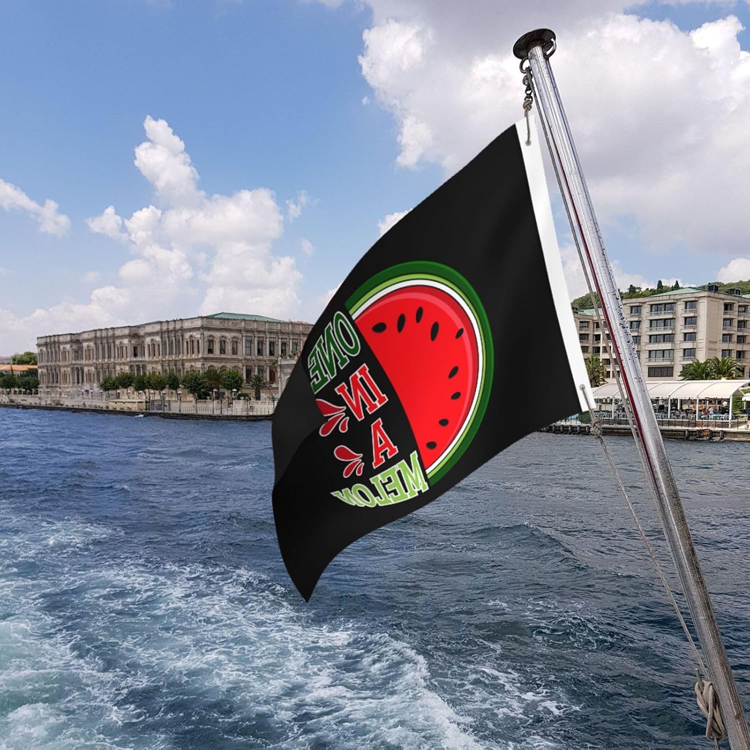 Funny One in a Melon Flag Review