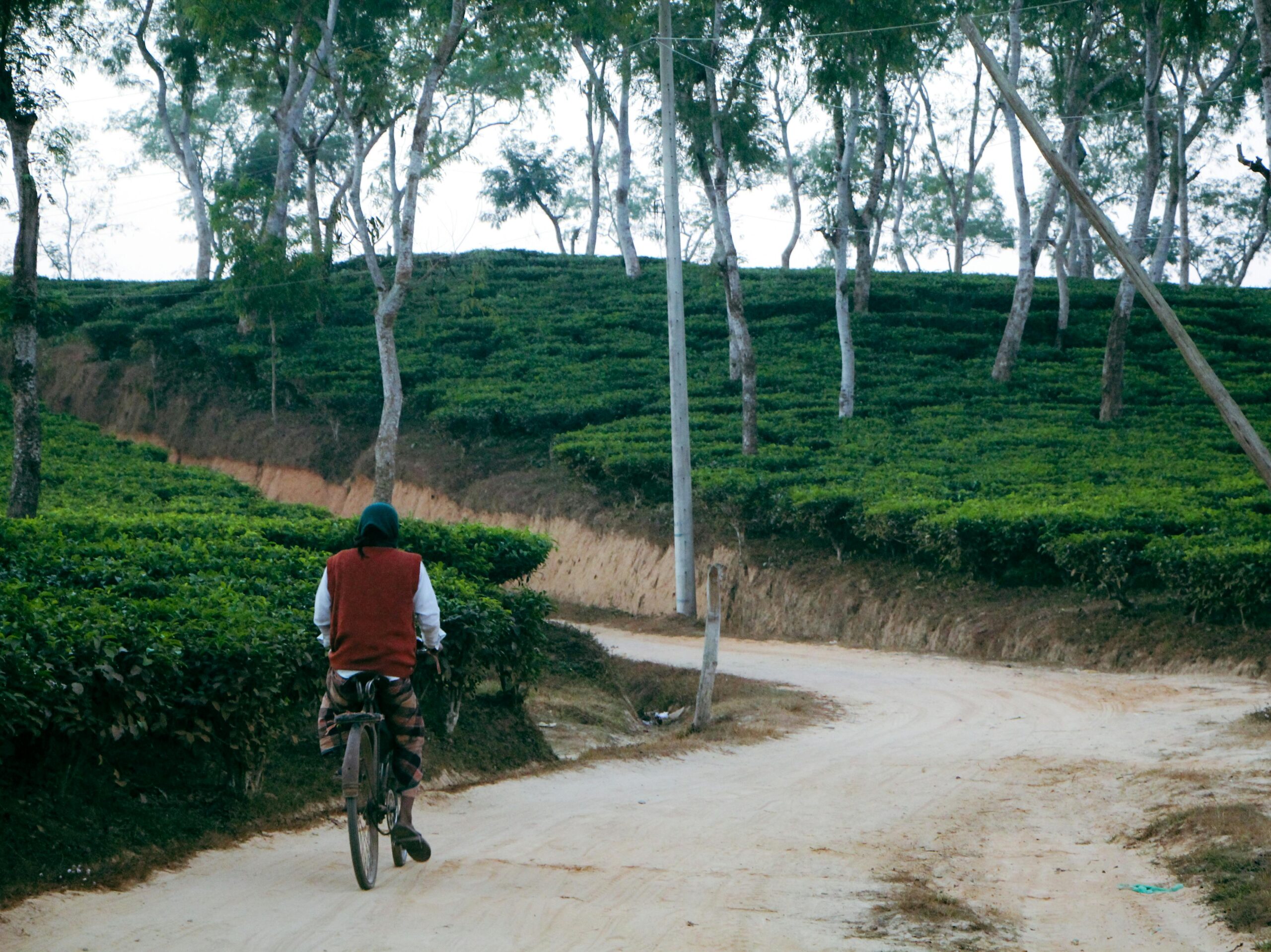 MERACH Under Desk Bike Pedal Exerciser Review