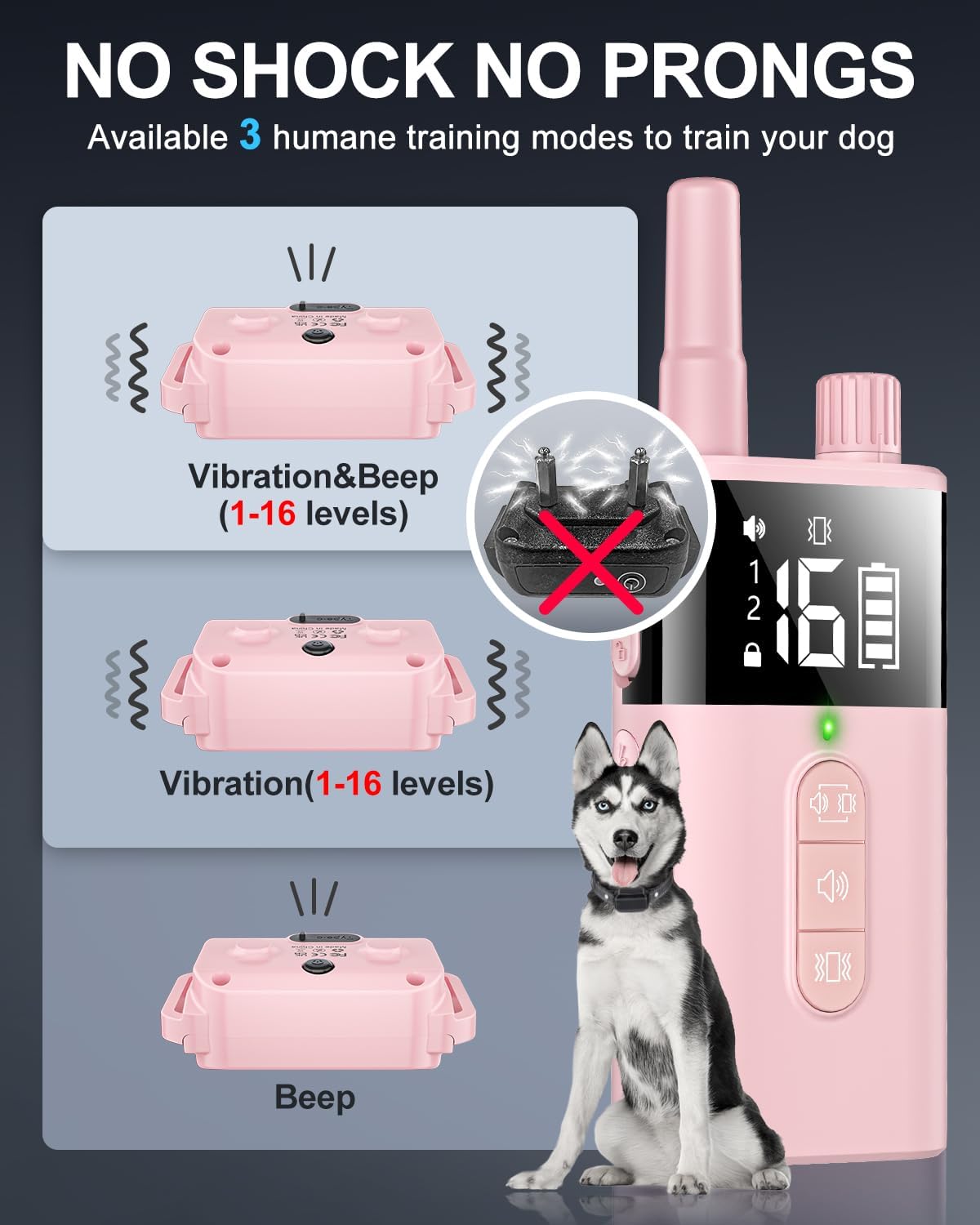 No Shock Dog Training Collar Review
